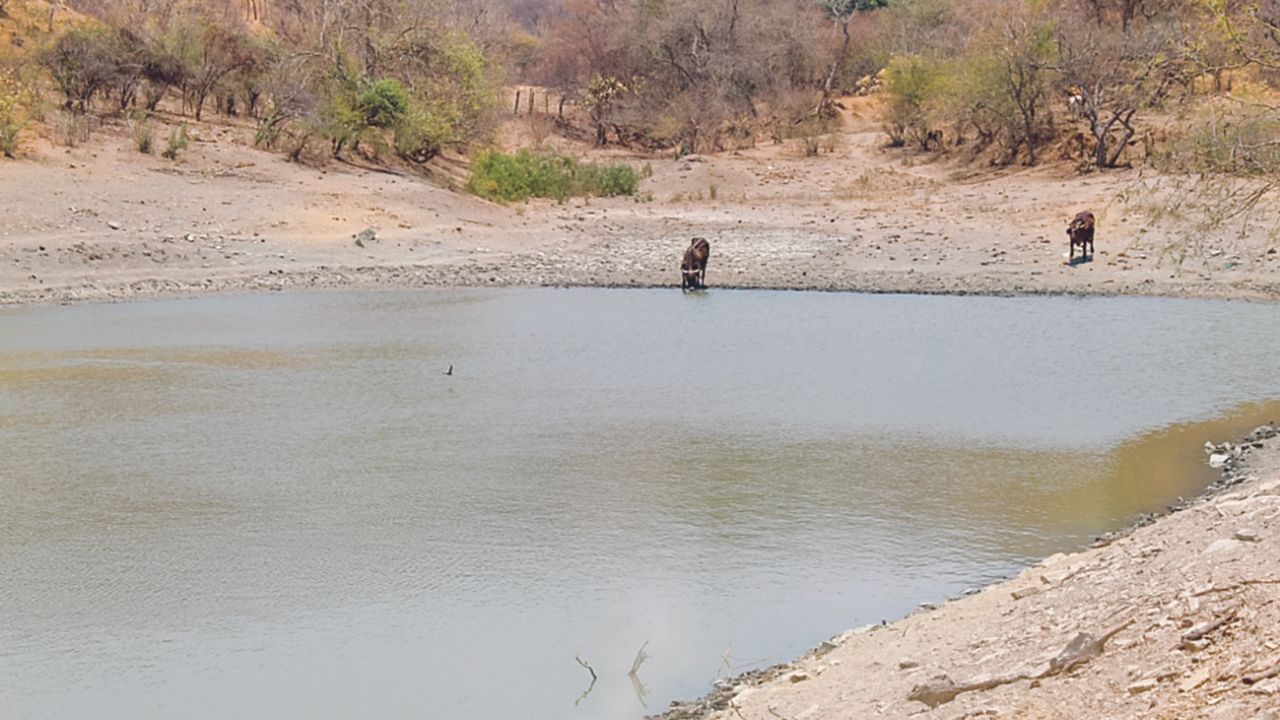 OPCIÓN. Los vecinos de este poblado han recorrido cerros y laderas en busca de agua y han visto posibilidades para obtener el líquido de otros afluentes. 