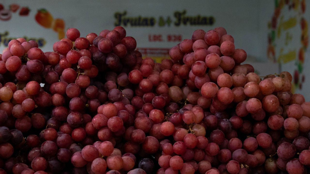 Reportan menor producción de uva por sequía en el país
