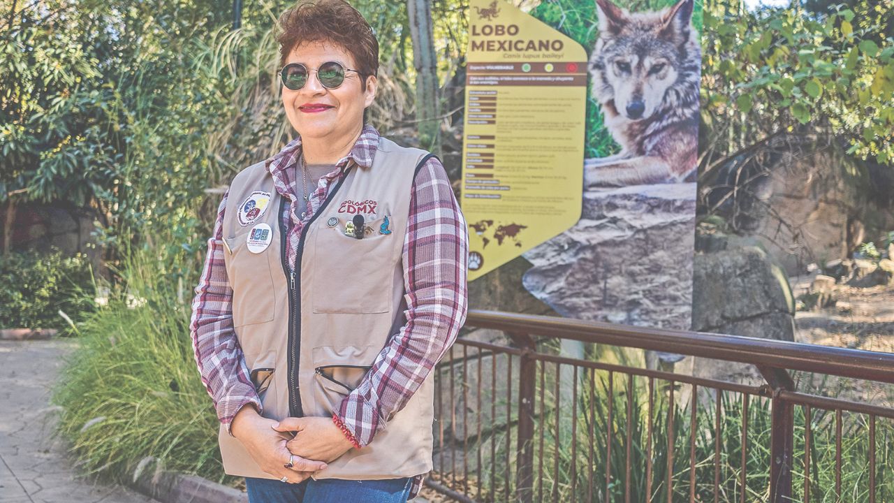 Foto: Miguel Martínez Corona | Guardianes del Lobo Mexicano