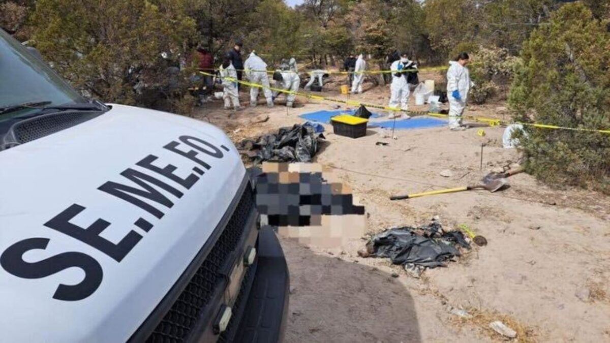 El hallazgo en Casas Grandes se dio el pasado 22 de enero.