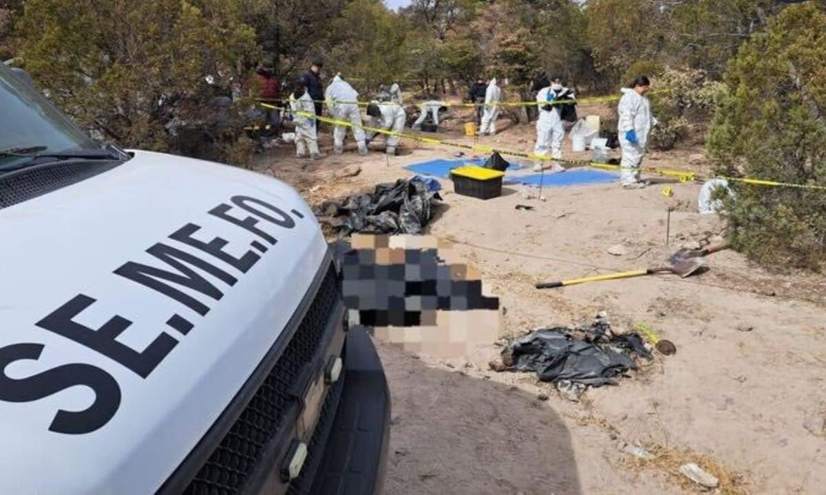 El hallazgo en Casas Grandes se dio el pasado 22 de enero.
