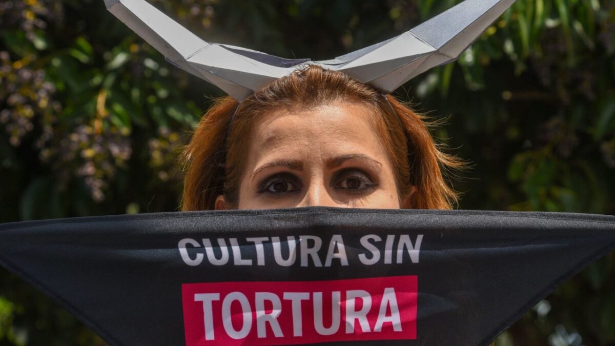 Cultura sin tortura estará a las 9:00 horas en el Ángel de la Independencia.