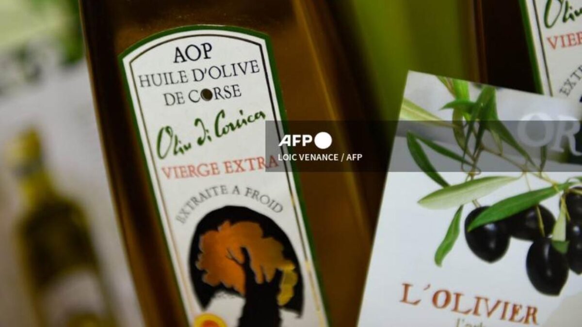 El aceite de oliva ha causado gran sensación en los últimos años y aquí te decimos cuáles son las mejores marcas.
