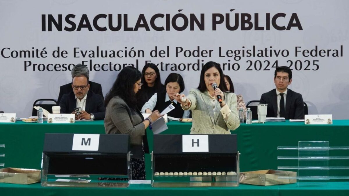Durante la segunda jornada de insaculación del Comité de Evaluación del Poder Legislativo, la comisionada Gabriela Sánchez, evidenció al menos, 11 discrepancias.