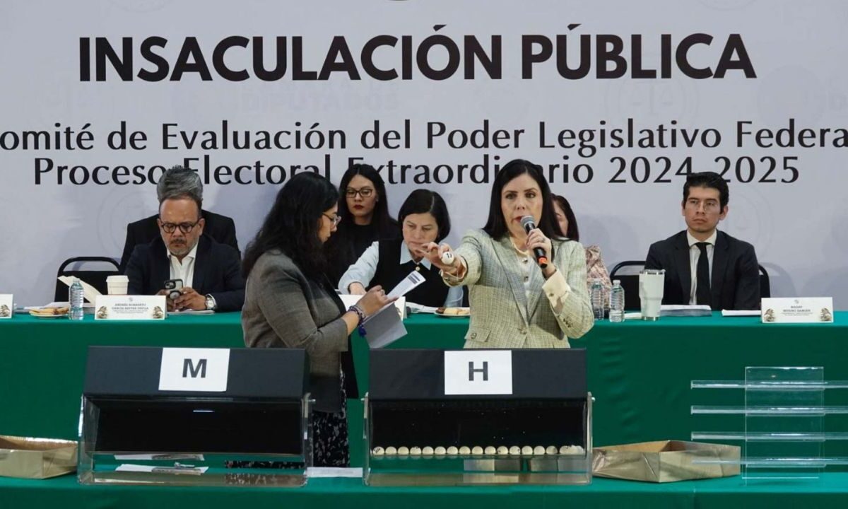 Durante la segunda jornada de insaculación del Comité de Evaluación del Poder Legislativo, la comisionada Gabriela Sánchez, evidenció al menos, 11 discrepancias.