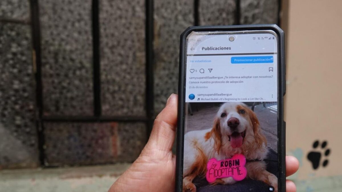 Redes sociales podrían ser prohibids a menores en Querétaro