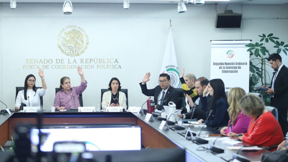 Senado ratifica a Rosa Islas como vicepresidenta del Inegi