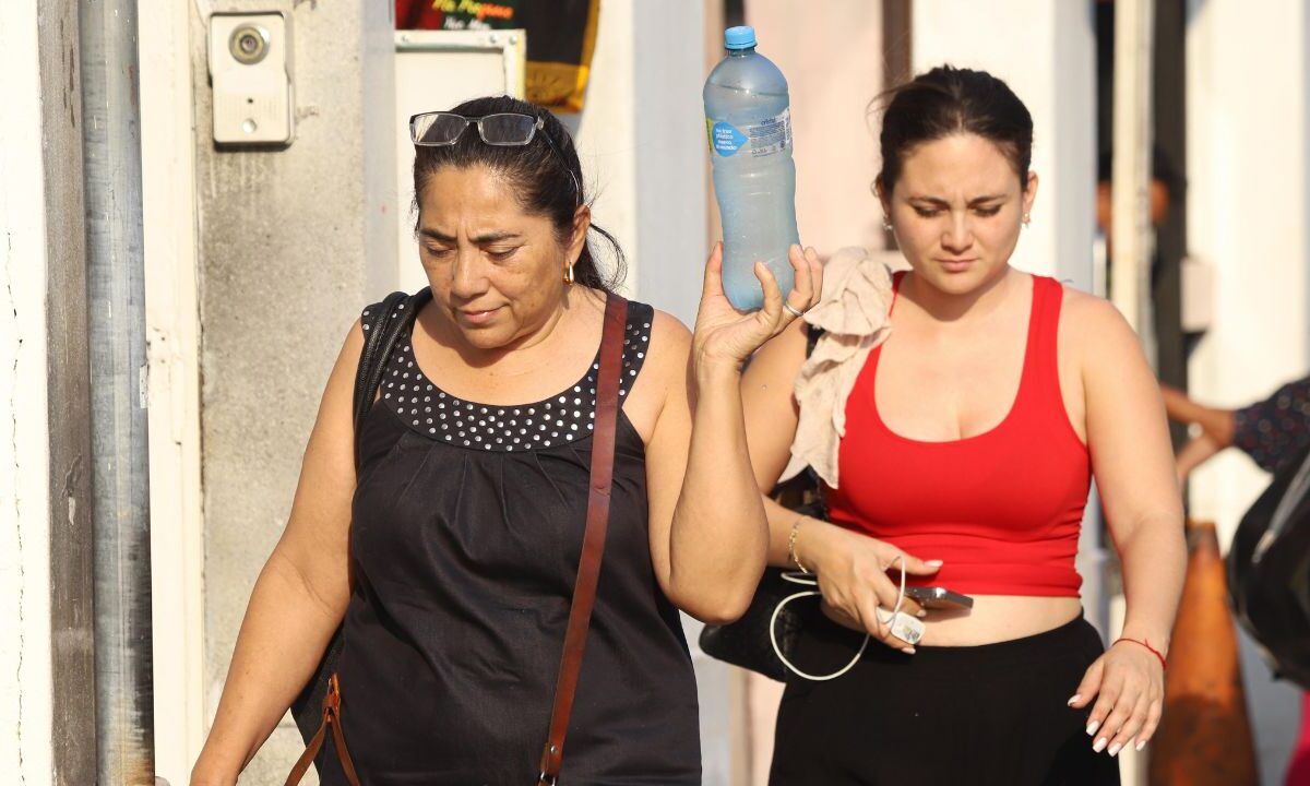 De acuerdo con el reporte del clima del SMN, para este sábado continuará la onda de calor