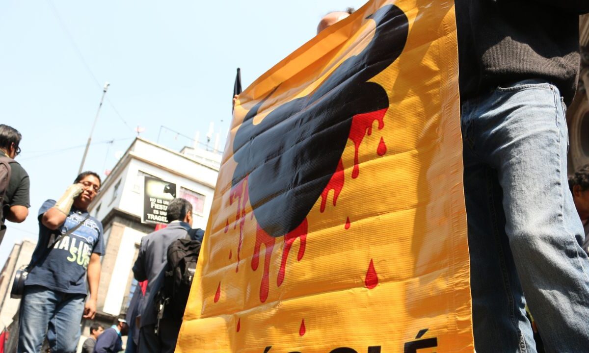Sofía Morín de México sin Toreo pidió que elementos de la Secretaría de Seguridad Ciudada vigilen las manifestaciones para evitar altercados.