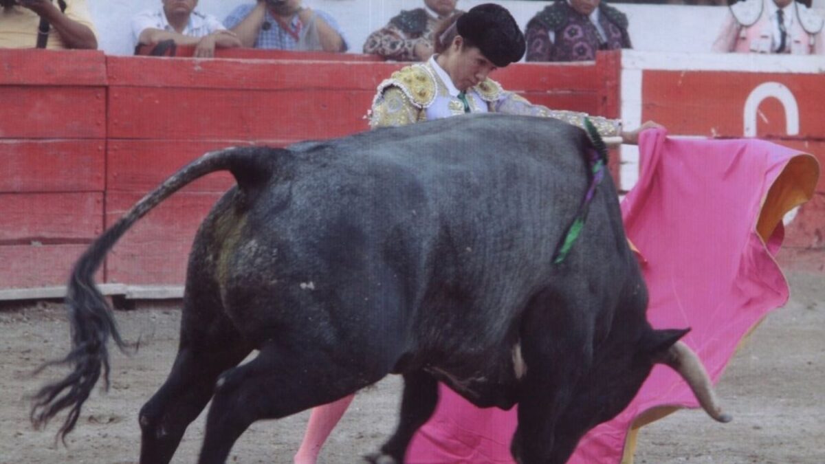 15 Años tiene Hilda Tenorio desde su alternativa como matadora, tras haber debutado como novillera en 2003 en Ciudad de México