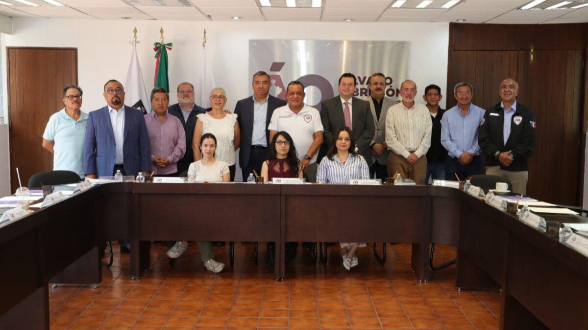 El Órgano Dictaminador del Presupuesto Participativo será el responsable de determinar la viabilidad de los proyectos ingresados por la ciudadanía para mejorar sus colonias