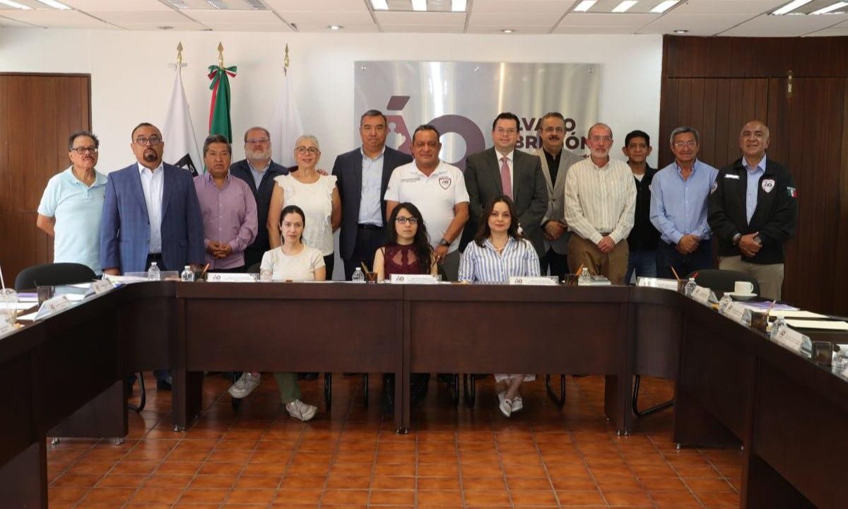 El Órgano Dictaminador del Presupuesto Participativo será el responsable de determinar la viabilidad de los proyectos ingresados por la ciudadanía para mejorar sus colonias