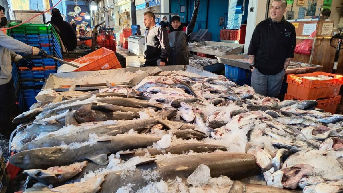 Llega junto a la Cuaresma, la Nueva Viga de la Ciudad de México, el segundo mercado más grande del mundo de pescados
