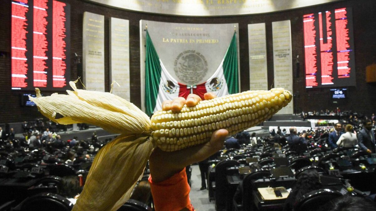 México no debe cerrarse a la posibilidad de usar maíz genticamente modificado, pues es una alternativa para fortalecer la producción nacional