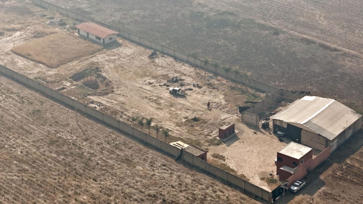 Los terrenos donde se construyó el centro de exterminio están entre cañaverales, que ahora no se ven porque los acaban de cortar, explican.