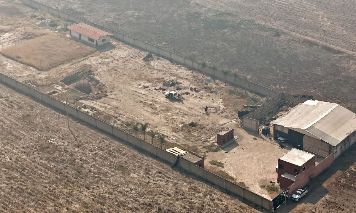 Los terrenos donde se construyó el centro de exterminio están entre cañaverales, que ahora no se ven porque los acaban de cortar, explican.