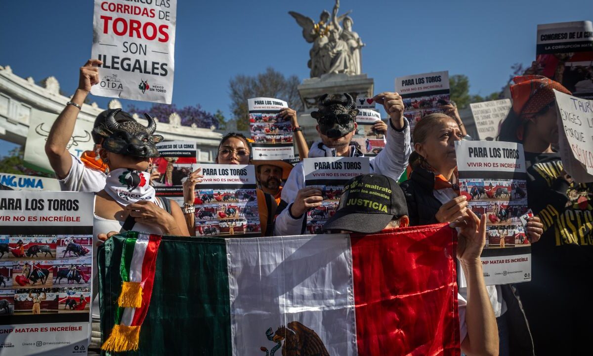 Legisladores de todas las fuerzas políticas en el Congreso local, aprobaron con 61 votos a favor, uno en contra y sin abstenciones las reformas a la ley animal.