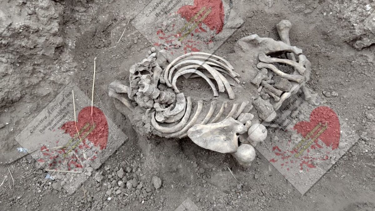 Amor por los Desaparecidos tiene pruebas de que el terreno es un centro de exterminio, afirma su líder.