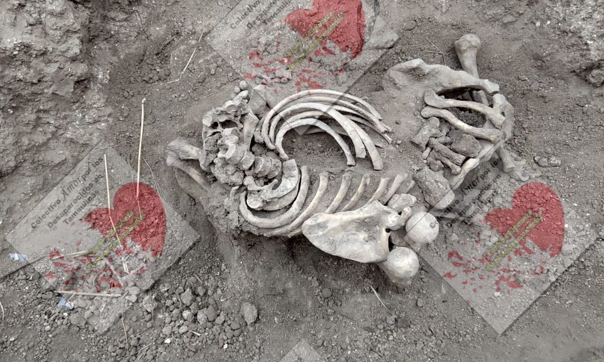 Amor por los Desaparecidos tiene pruebas de que el terreno es un centro de exterminio, afirma su líder.