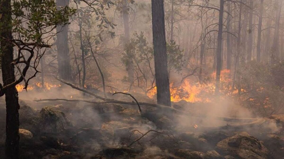 En Chihuahua, son ocho los municipios que siguen en alerta. 