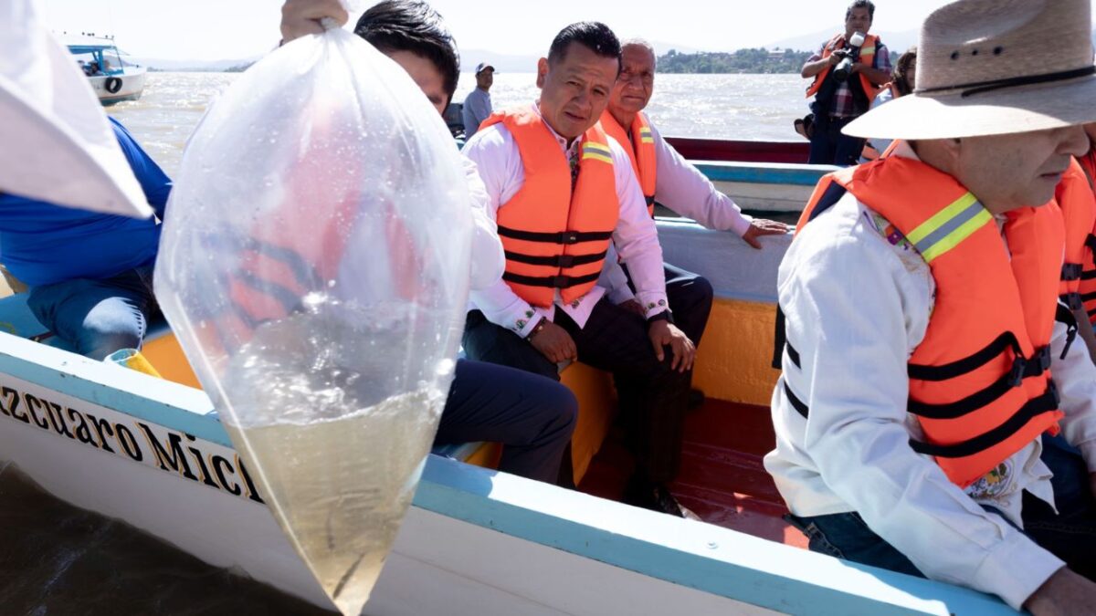 La Compesca realizó una segunda liberación de 20 mil peces como parte de las tareas de rescate en el lago de Pátzcuaro