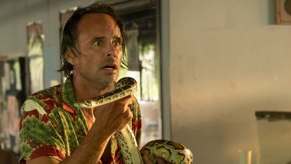 3 temporadas de White Lotus componen a la serie de HBO