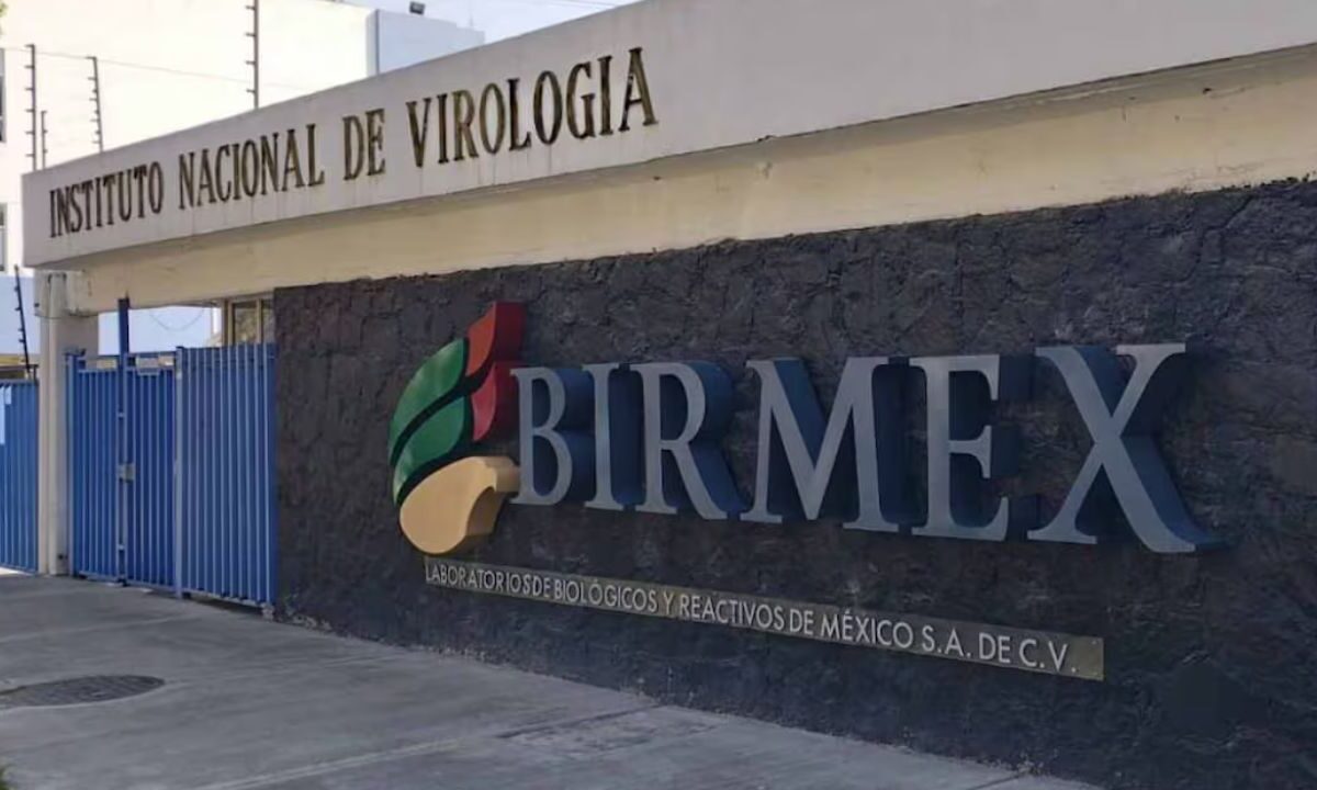 Advierte Sheinbaum sanciones penales en Birmex por compra de medicamentos a sobre costo