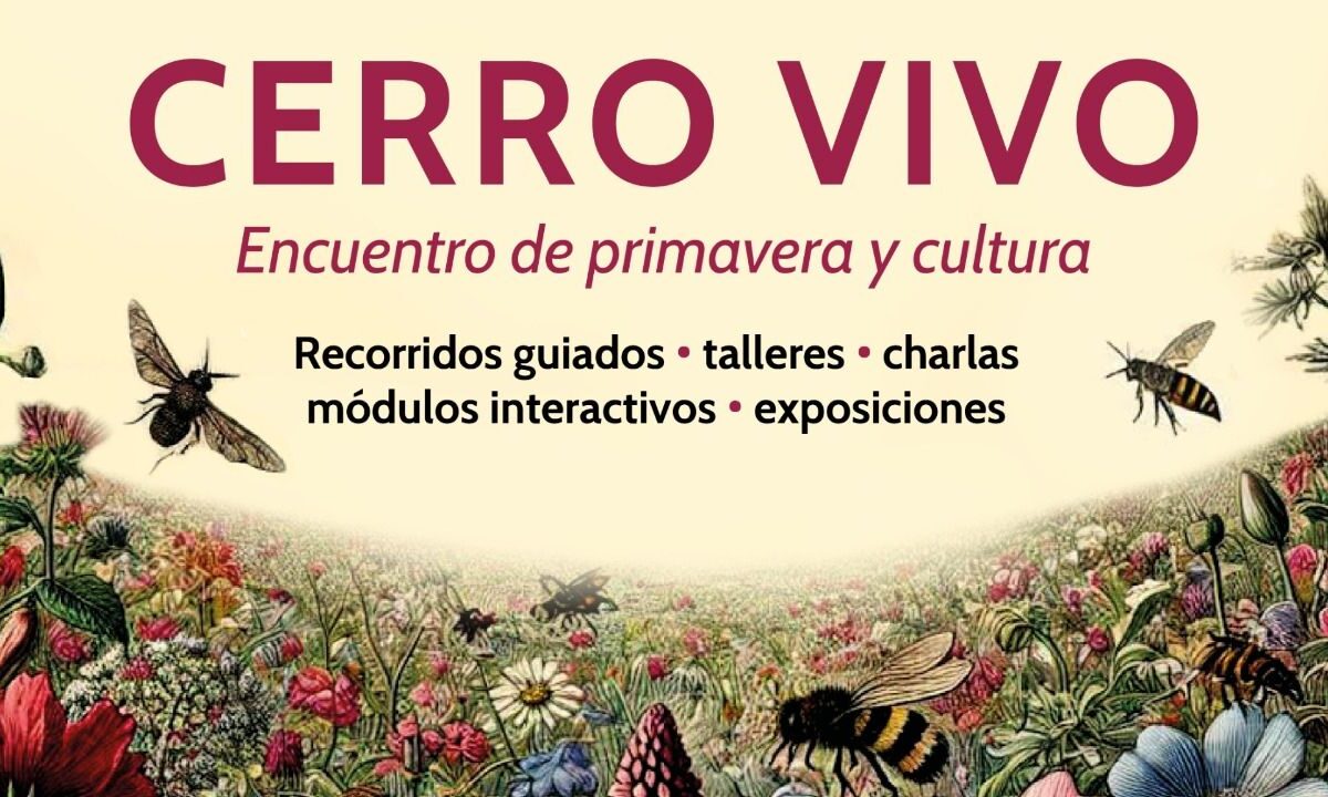 La Sedema anunció la realización del "Festival Ambiental Cerro Vivo" en Iztapalapa para celebrar la llegada da de la primavera.