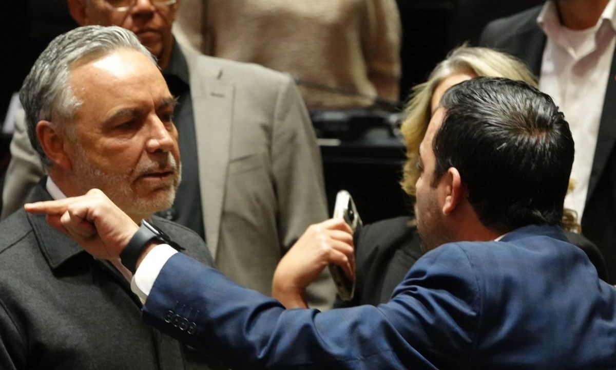 Ramírez Cuéllar se acercó a Elías Lixa, coordinador del PAN en la Cámara de Diputados, para pedirle que se suscribiera a su iniciativa.