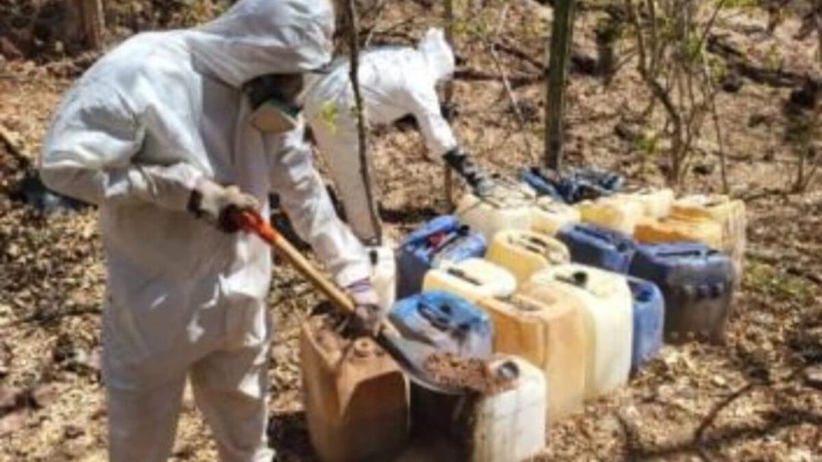 Autoridades aseguran laboratorios de droga en Culiacán y Cosalá, Sinaloa