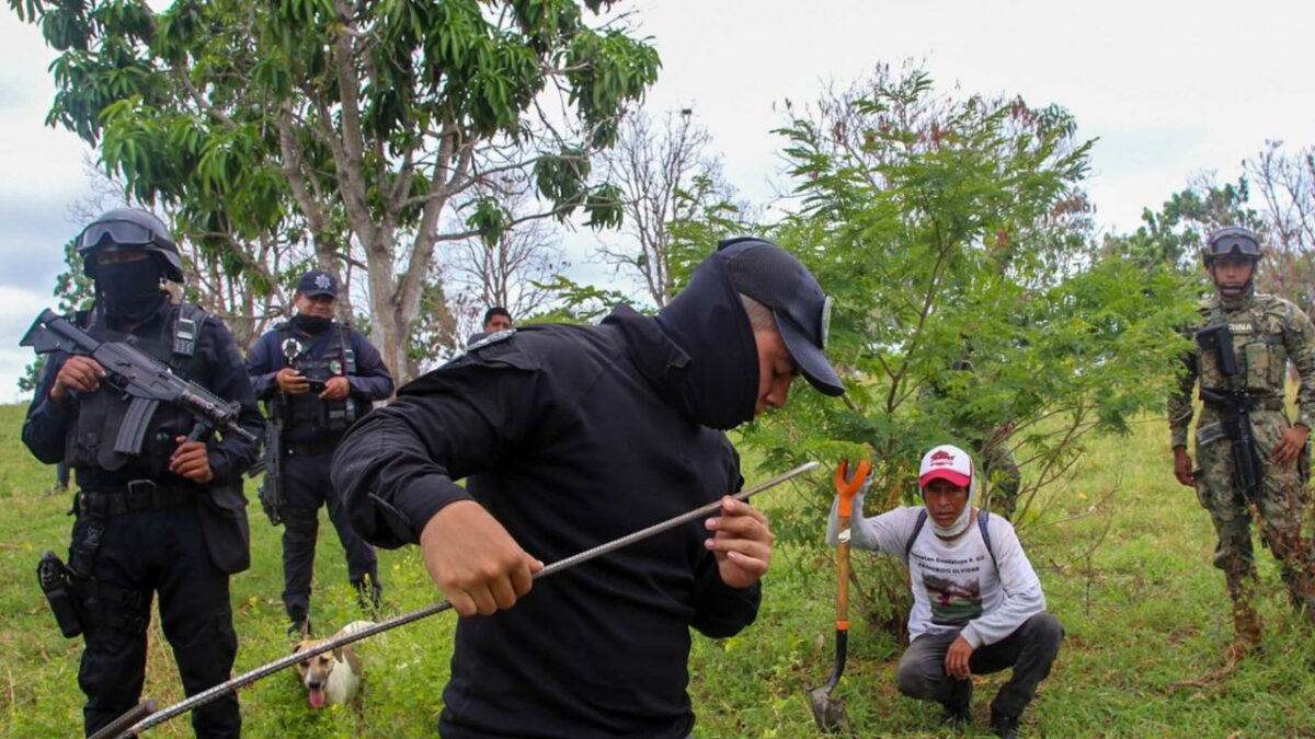 En lo que van del año, la Comisión Nacional de Búsqueda (CNB) ha reportado el hallazgo de 173 personas con vida y 134 hallazgos forenses.