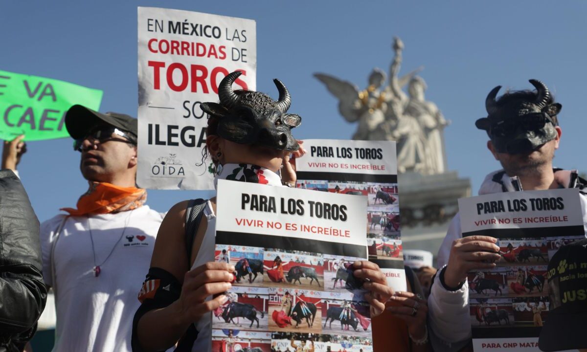 El Congreso de la CDMX aprobó en lo general la prohibición de espectáculos con animales, que contempla corridas de toros sin sangre.