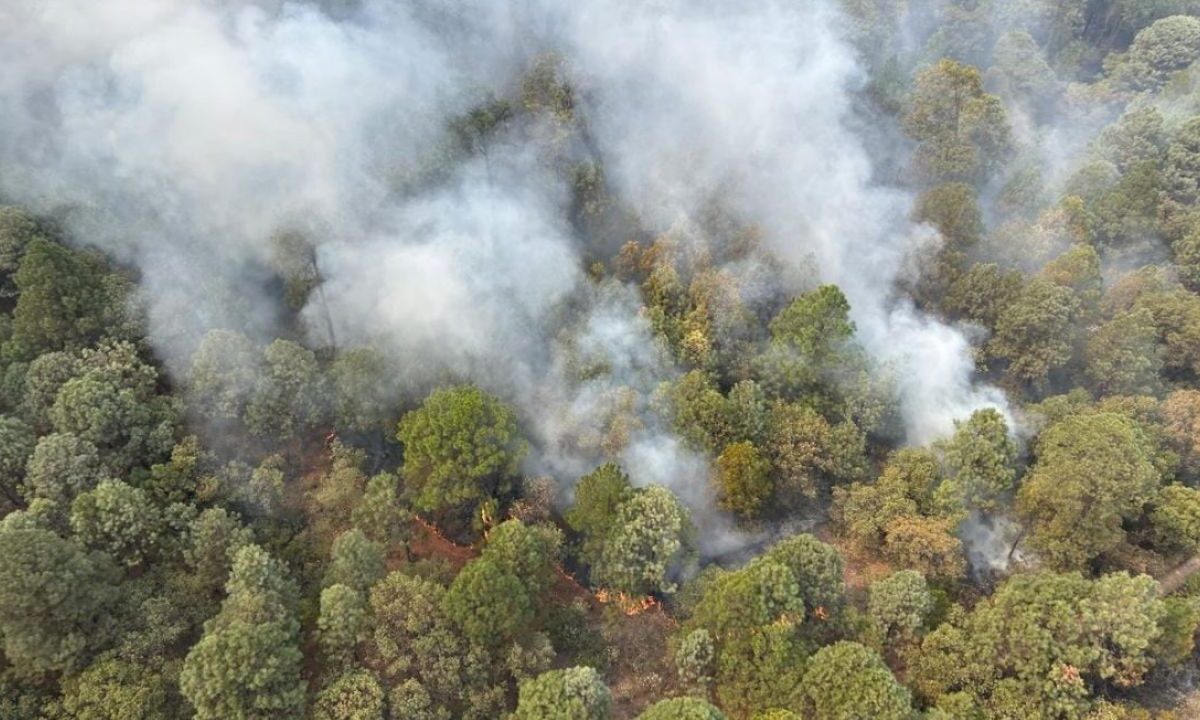 20 estados han registrado incendios forestales que han afectado 4, 227 hectáreas de áreas naturales.