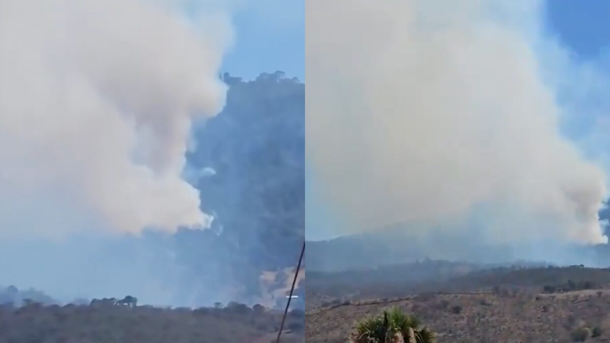 Decenas de hectáreas de bosque se encuentran bajo fuego en el municipio de Cotija, Michoacán; pobladores reportan que el incendio inició desde el pasado viernes, sin que hasta el momento logre ser controlado.