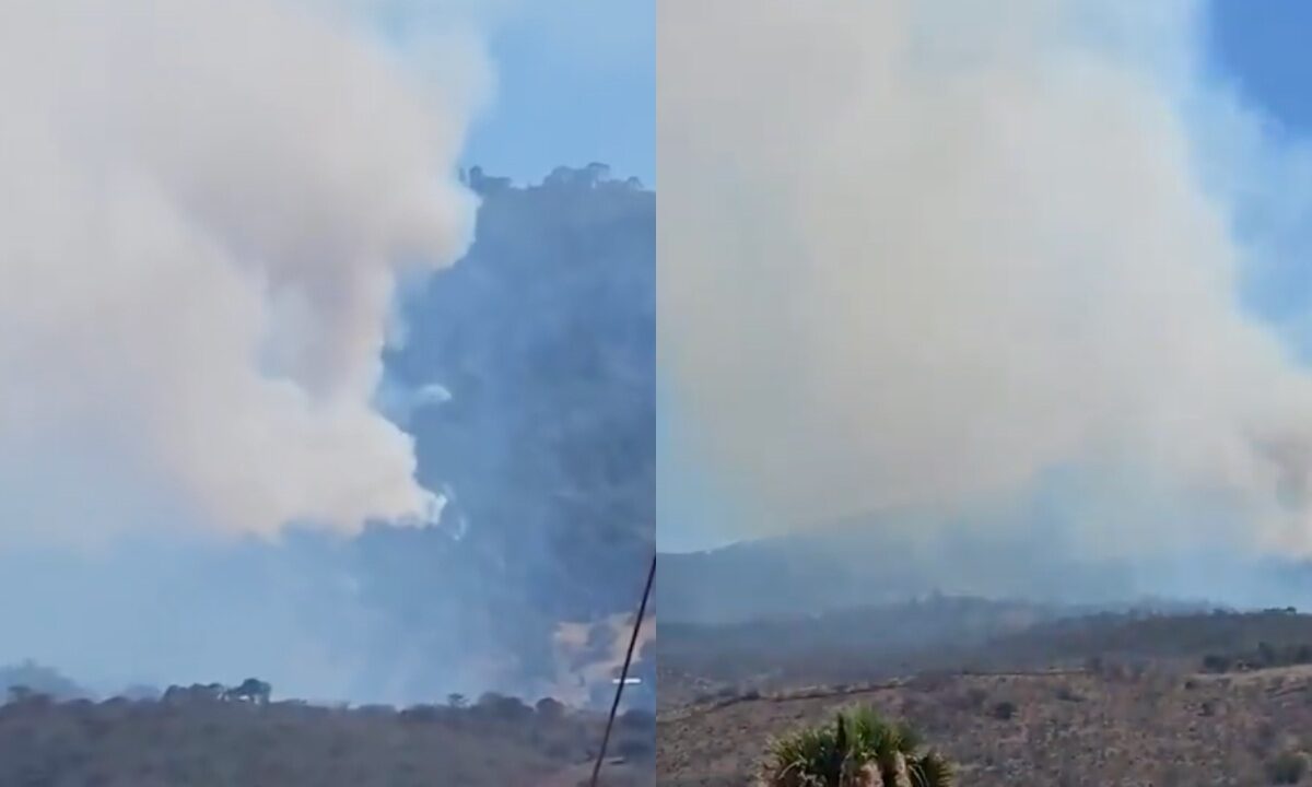 Decenas de hectáreas de bosque se encuentran bajo fuego en el municipio de Cotija, Michoacán; pobladores reportan que el incendio inició desde el pasado viernes, sin que hasta el momento logre ser controlado.