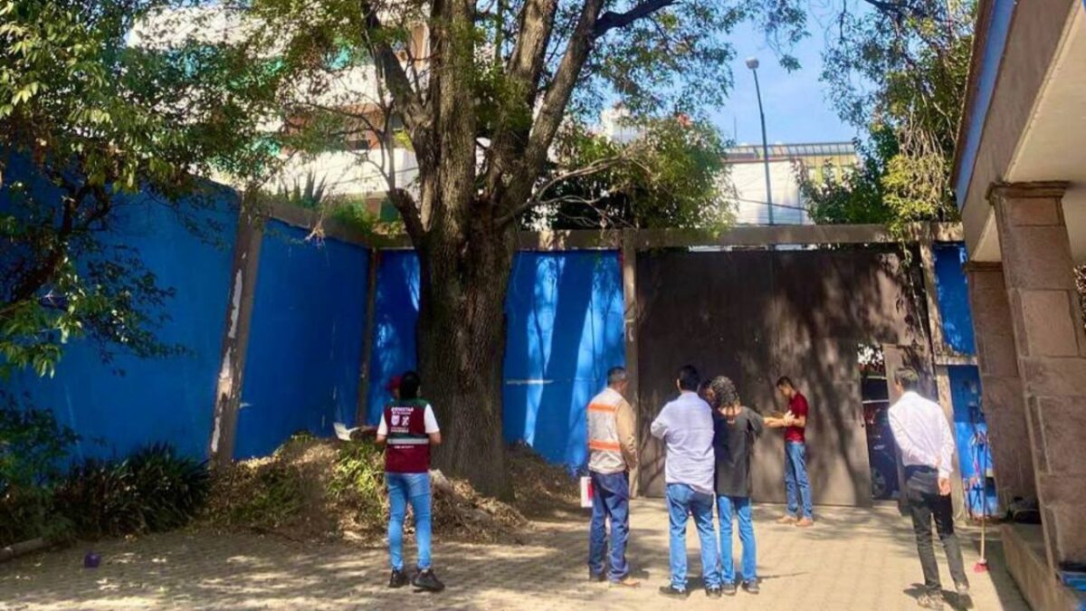 ¿Es ilegal plantar un árbol en la vía pública?