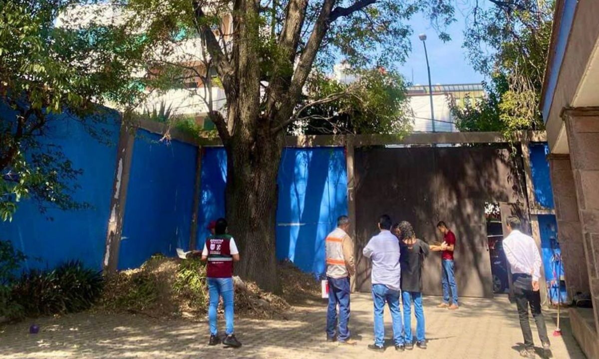¿Es ilegal plantar un árbol en la vía pública?