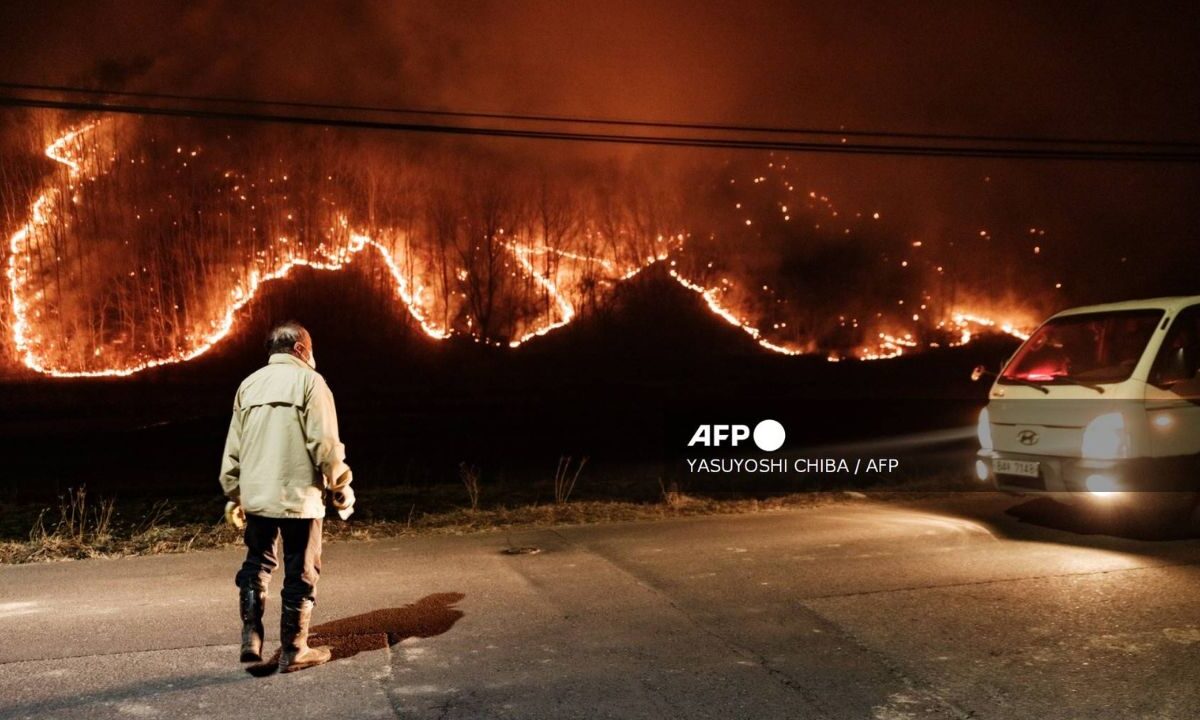 Corea del Sur enfrenta una de las peores crisis ambientales de su historia reciente tras una serie de incendios forestales.