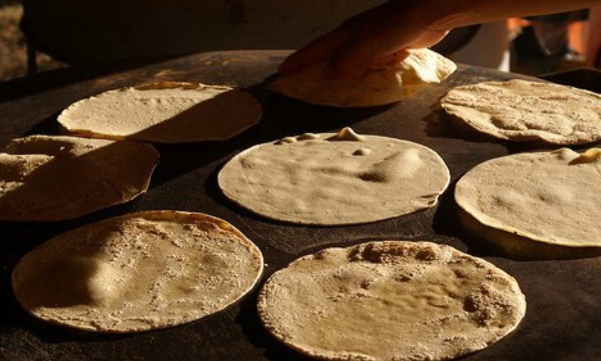 Consejo Nacional de la Tortilla (CNT) descartó fijar un costo por kilo como ha mencionado la administración federal