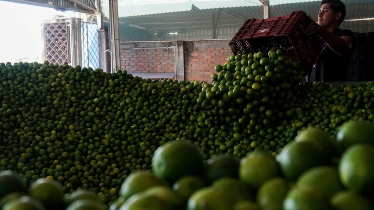 La inflación en México repuntó en febrero 2025 y ante ello, algunos productos subieron sus precios.