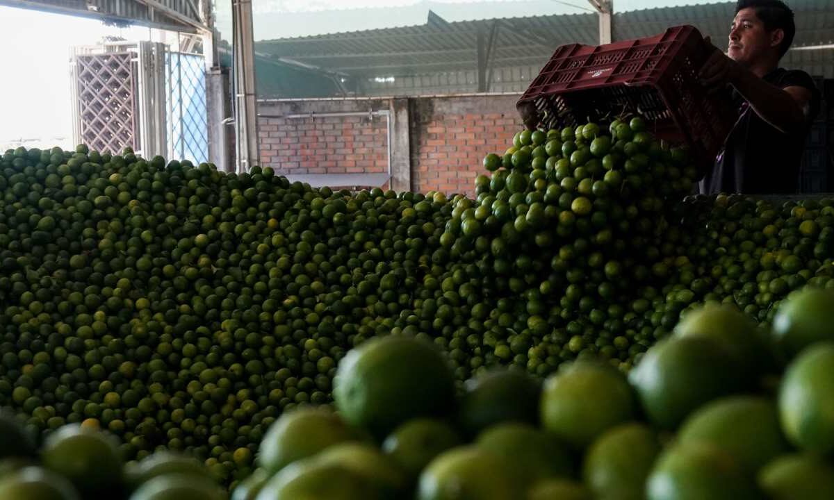 La inflación en México repuntó en febrero 2025 y ante ello, algunos productos subieron sus precios.