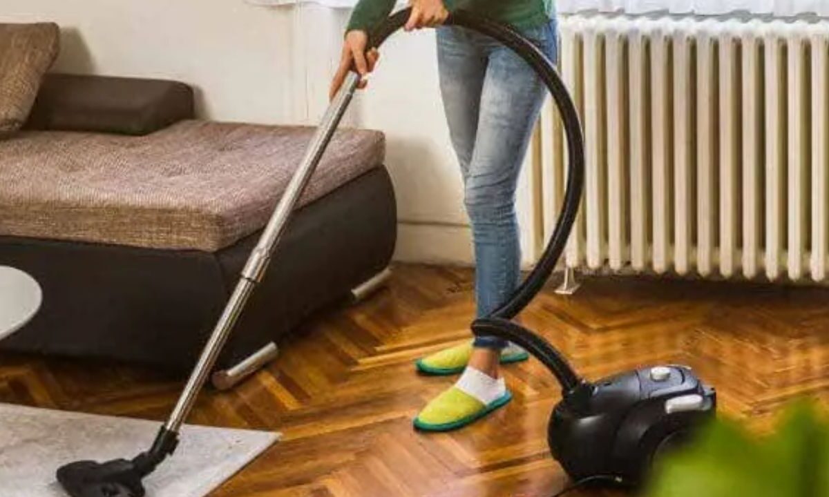 Para eliminar las chinches es necesario aspirar toda la casa