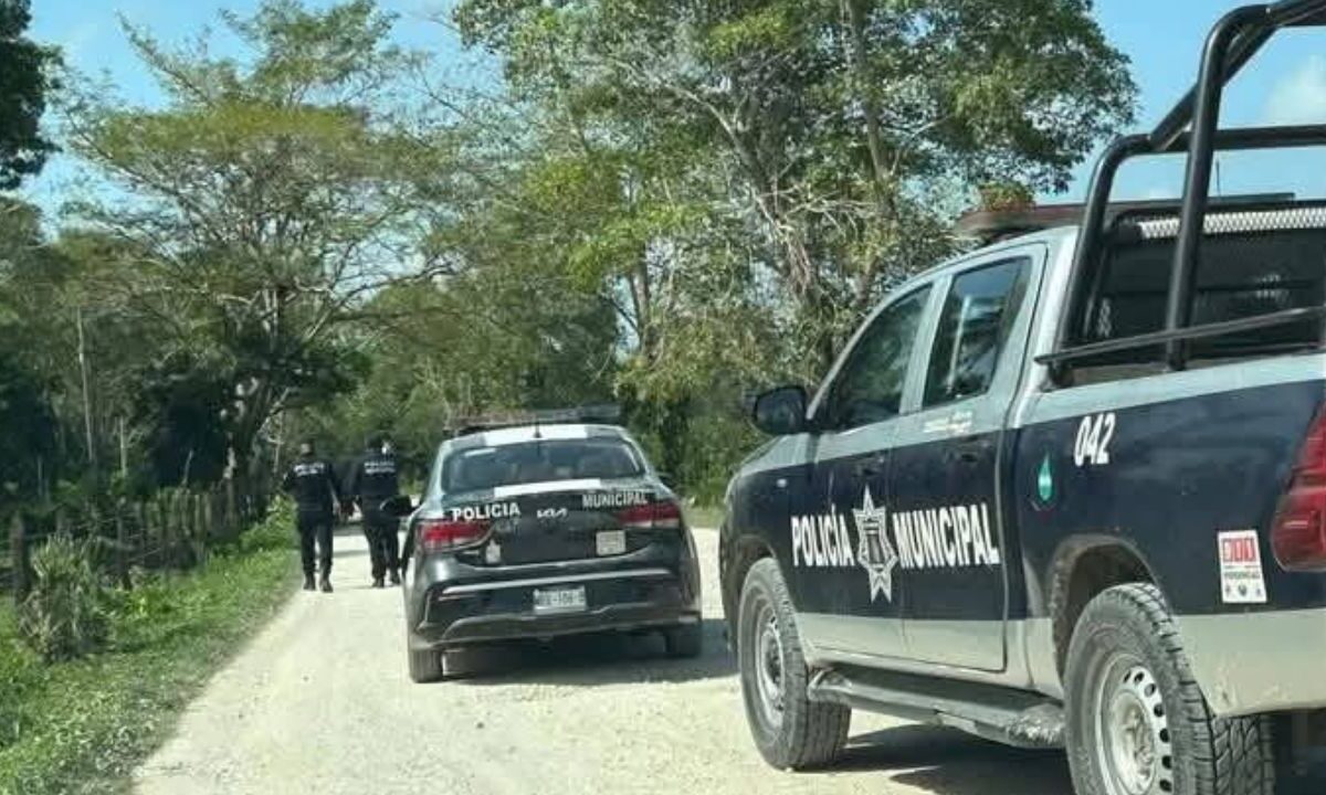 Localizan narcofosas en Macuspana, Tabasco