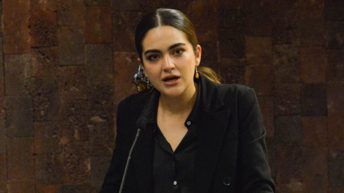El PAN presentará denuncias penales contra la senadora de Morena, Andrea Chávez
