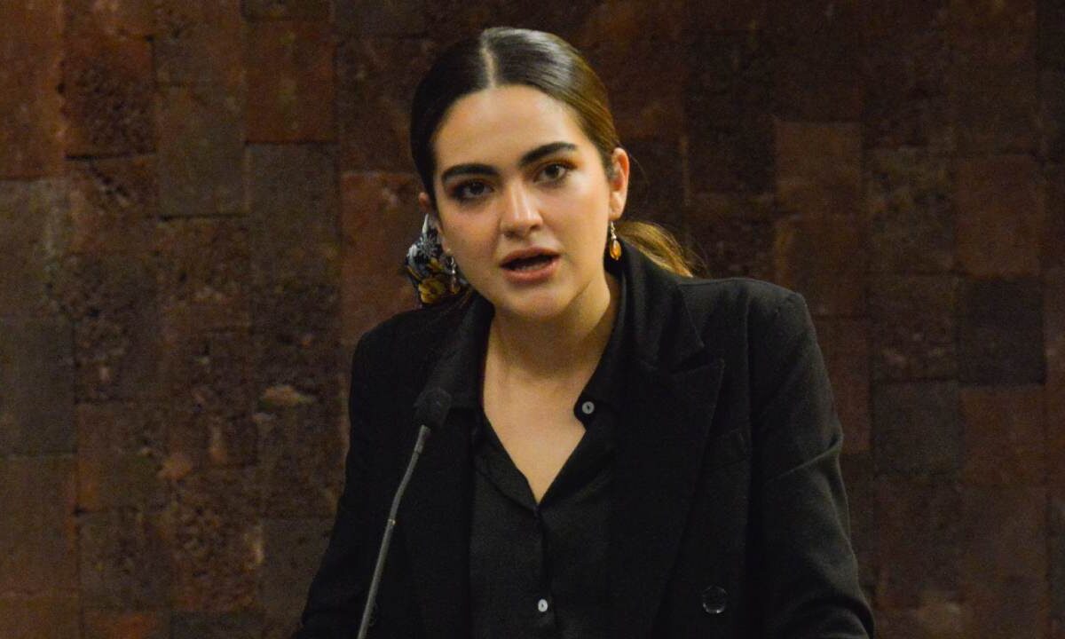 El PAN presentará denuncias penales contra la senadora de Morena, Andrea Chávez
