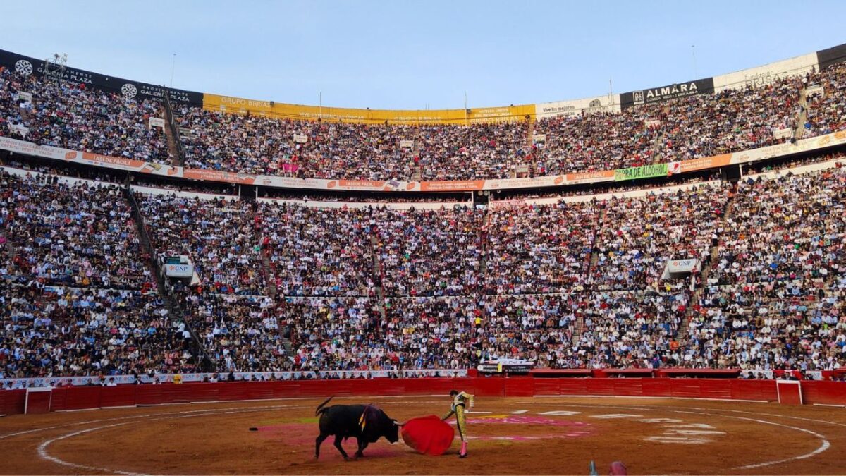 La propuesta se basará en siete puntos, para garantizar que se realicen los espectáculos taurinos, pero sin violencia