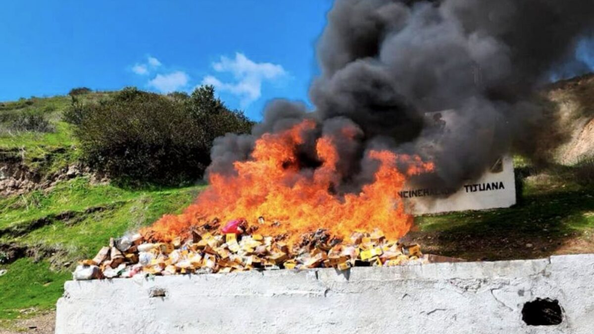 Quema de drogas en Baja California por parte de Fuerzas Federales
