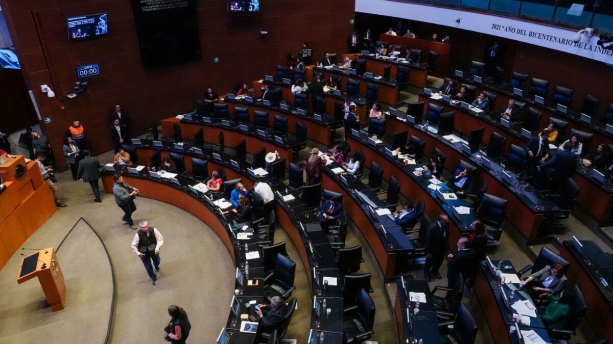 "La única autoridad que puede promover la participación ciudadana es el INE":Daniela Ravel
