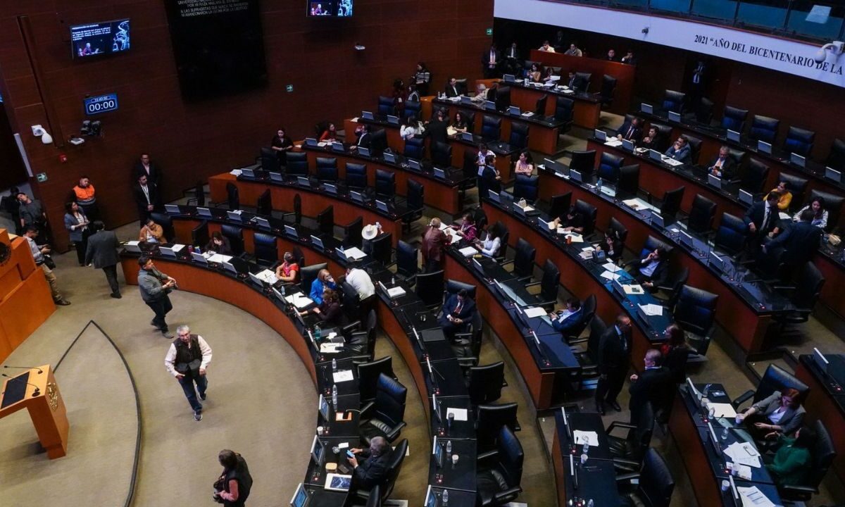 "La única autoridad que puede promover la participación ciudadana es el INE":Daniela Ravel