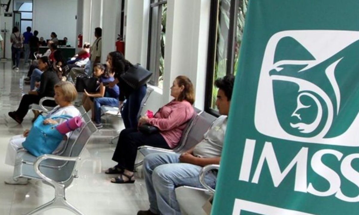 Conoce cuál es la vigencia del Seguro Social después de perder el trabajo
